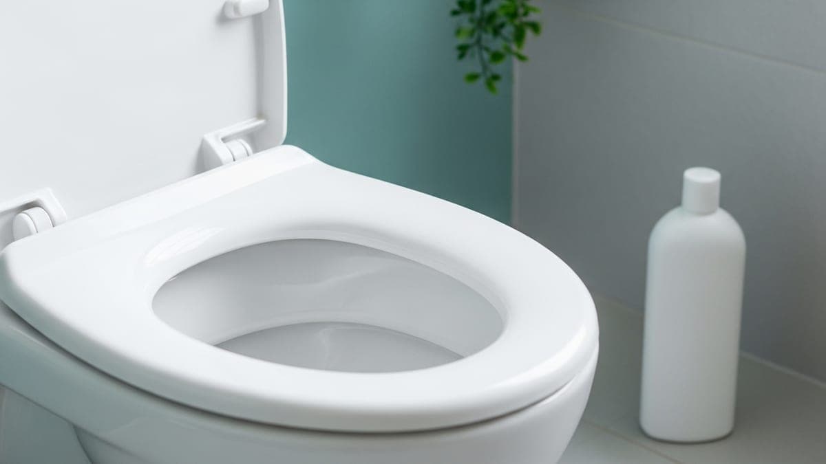 Meilleur détartrant WC 2026 : gel, poudre, broyeur ou naturel